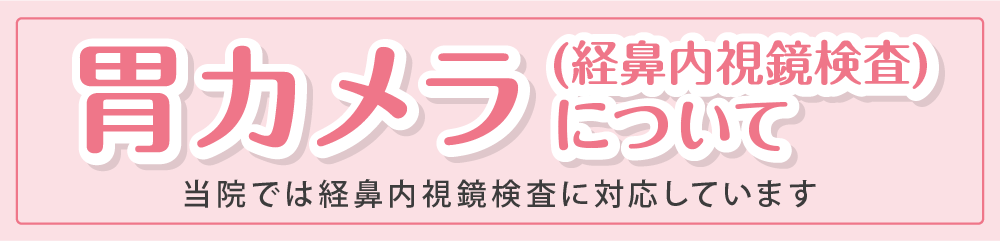内視鏡検査について