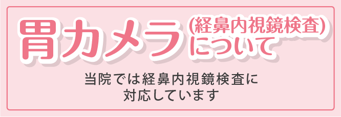 内視鏡検査について
